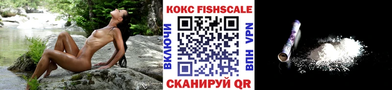 COCAIN Fish Scale  Кирово-Чепецк 