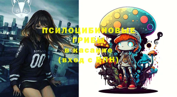 крисы Баксан